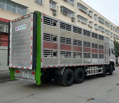 恒溫廂式車與9米6東風運豬車 現代畜禽運輸的革新與選擇