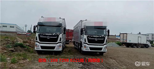 新款東風天龍4層豬苗運輸車 鋁合金廂體上裝價格解析與車型優勢