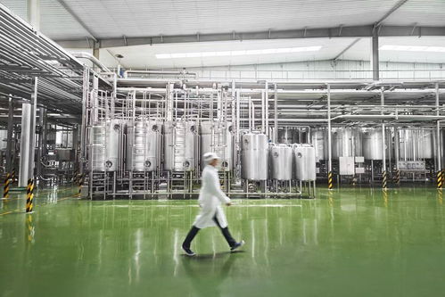 走進(jìn)新乳業(yè)智能工廠 低溫業(yè)務(wù)雙位數(shù)引領(lǐng)增長，生物芯與數(shù)智化雙輪驅(qū)動(dòng)企業(yè)管理創(chuàng)新