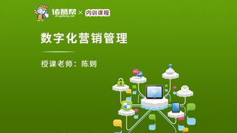 企業管理人員與管理咨詢 構成、職能與協同